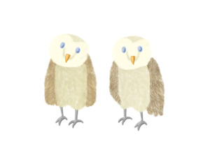 �ե�����