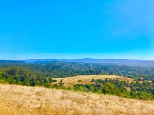 カリフォルニア大学