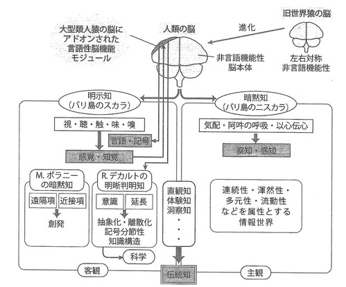 �����Τ�������