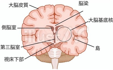 ��Ǿ�����