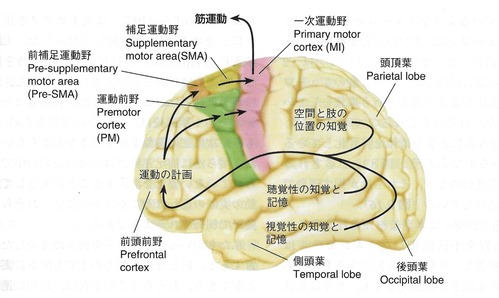 ��ư����Ǿ���