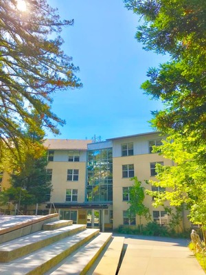 ����ե���˥����