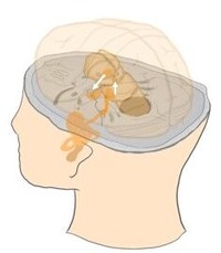 İ�Ф���Ƴϩ