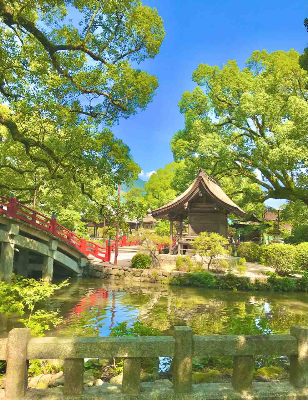 つれづれ日記 : 太宰府天満宮にまいりました