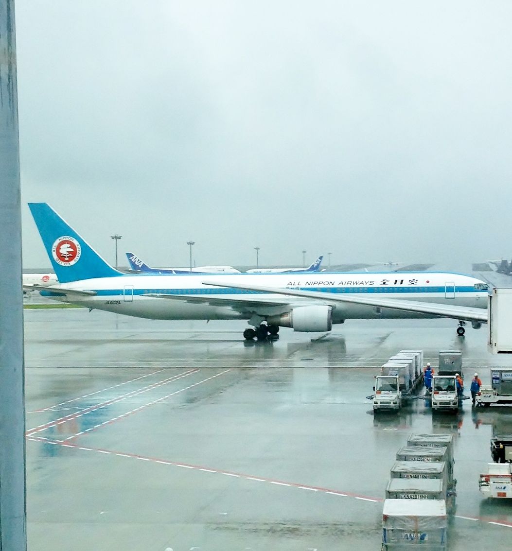 羽田空港で見つけたanaモヒカンジェット 中島志保のつれづれ日記 羽田空港で見つけたanaモヒカンジェット 中島志保のつれづれ日記