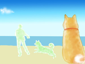 犬