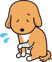 犬