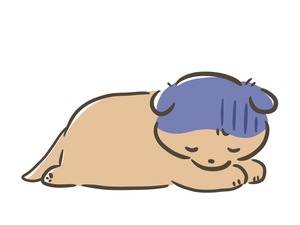 犬