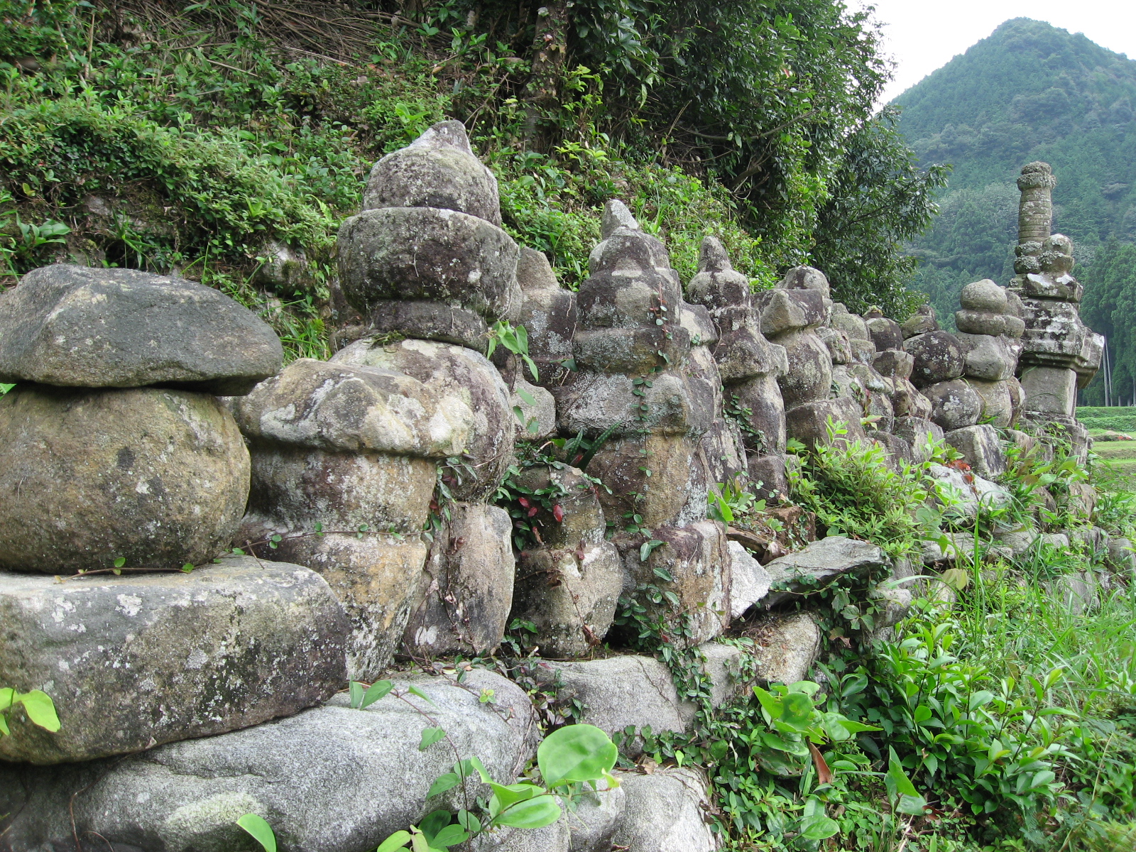 平家の隠れ里 平家一族の墓 探訪 松阪市議会議員 山本節