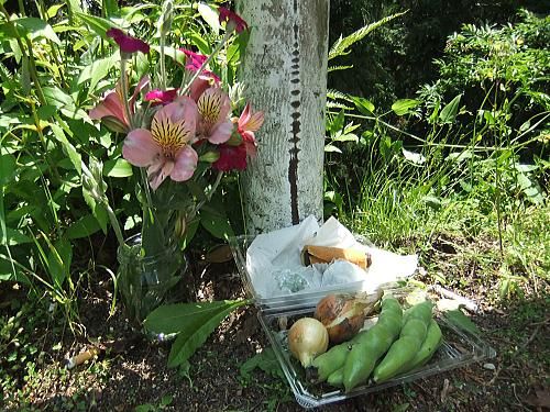 20120527遺棄現場　お供え