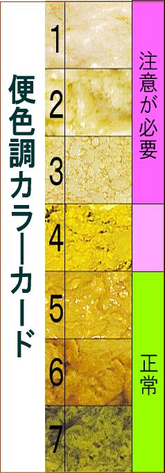 松阪市議会議員 山本節