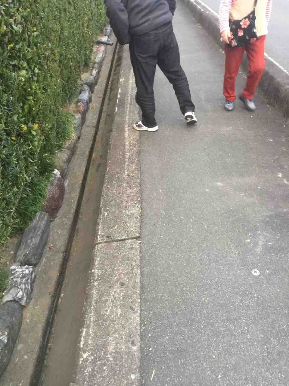 縁石に乗り上げる車が続出 松阪市議会議員 山本節 縁石に乗り上げる車が続出 松阪市議会議員 山本節