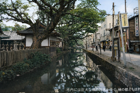 ChatGPT Image 2026年2月3日 23_53_11