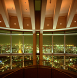 TokyoCityView