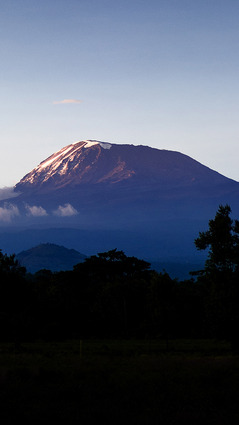 Kilimanjaro
