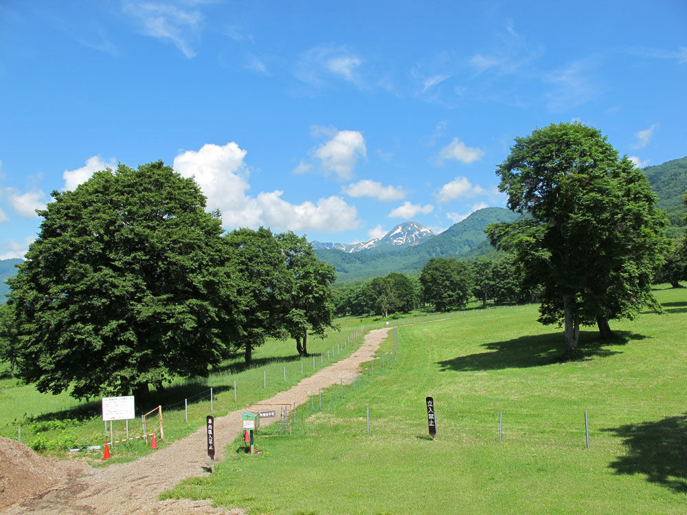 笹ヶ峰トレッキングガイド 一日コース 妙高自然ソムリエ