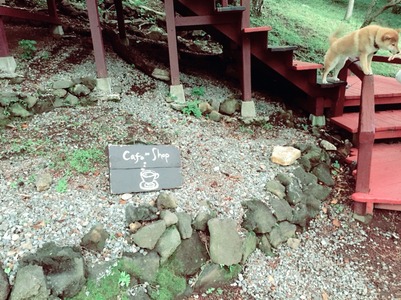 2016-06-16-10-37-17