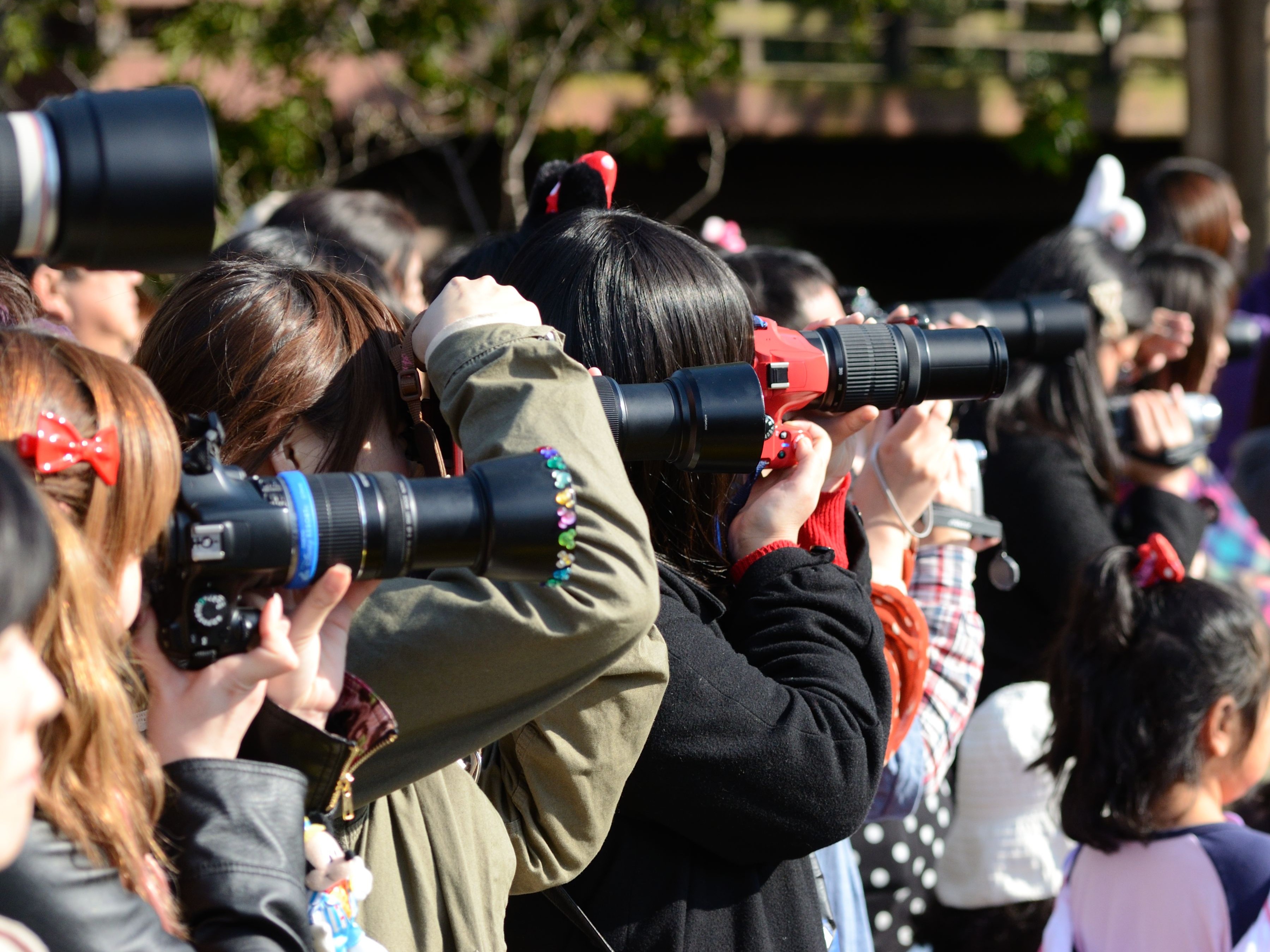 望遠軍団 In Tdl 因画応報