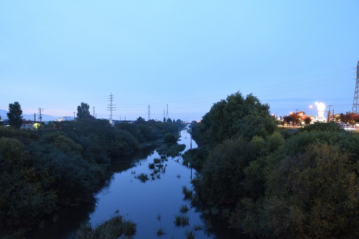 DSC_4517