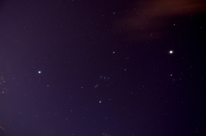 DSC_6568