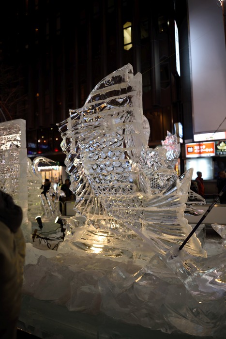 DSC_8634a