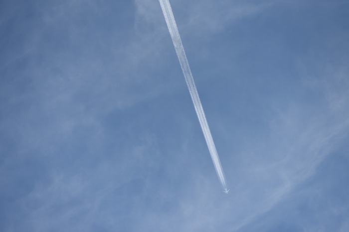 DSC_8005