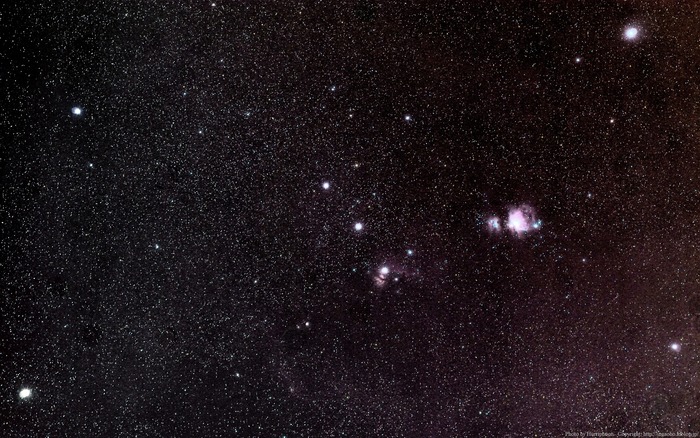The_Orion