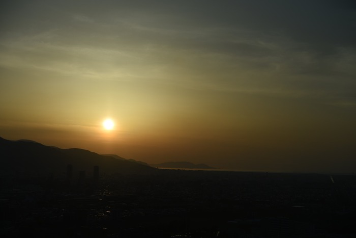 DSC_4410
