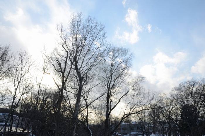 DSC_0068a