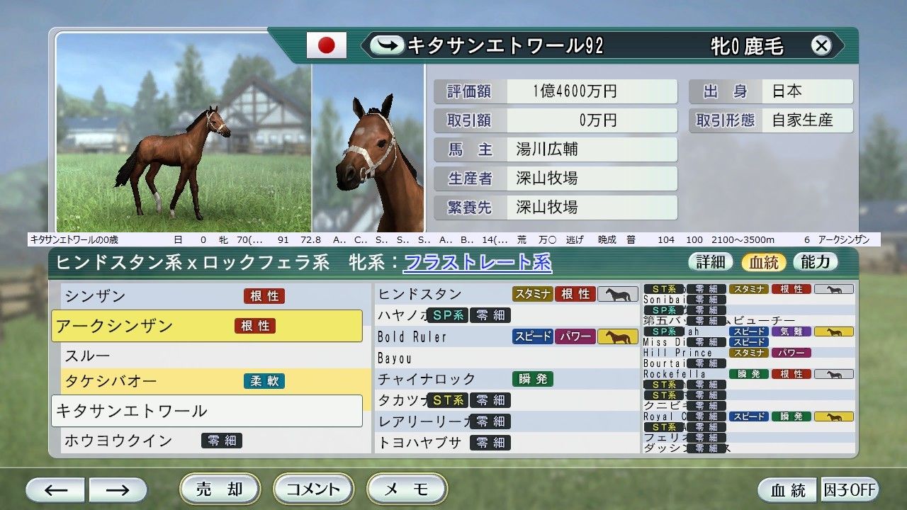 92年主な生産馬 血統構築予定 航路は不定 全速前進 92年主な生産馬 血統構築予定 航路は不定 全速前進