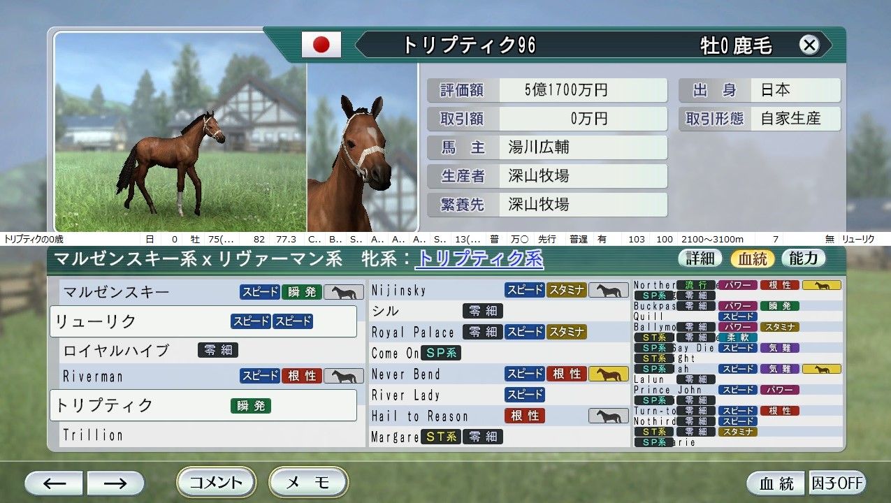 96年生産馬紹介 航路は不定 全速前進 96年生産馬紹介 航路は不定 全速前進