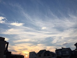 IMG_1843