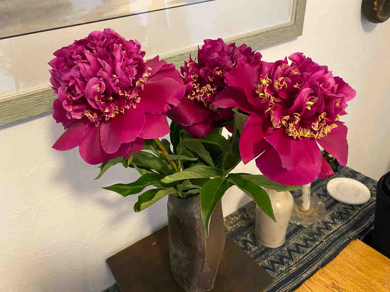 シャクヤクのこと だって 魔女だから