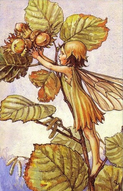 妖精を見た だって 魔女だから