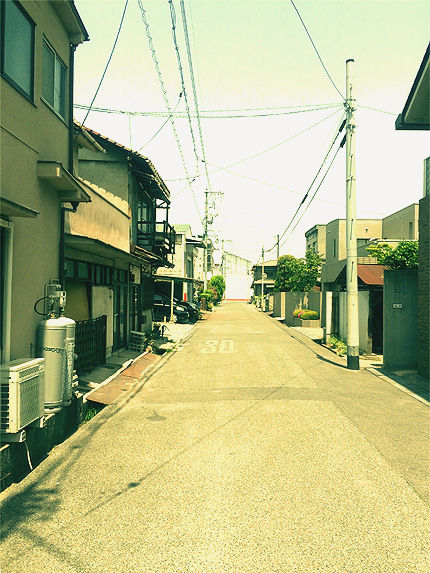 バラ祭り22