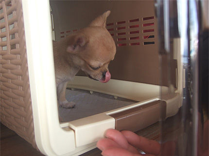 里子の宇咲喜②