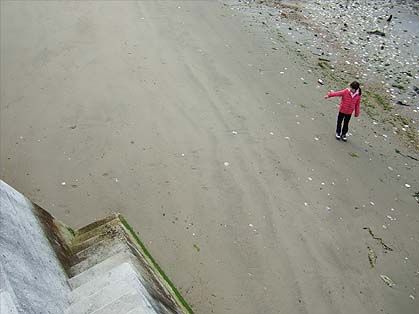 £Õ£Æ£Ï¥³¥ó¥¿¥¯¥È¨