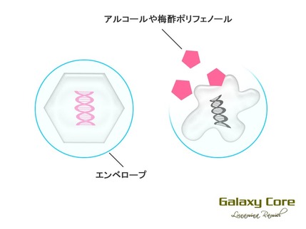 エンベロープにダメージ