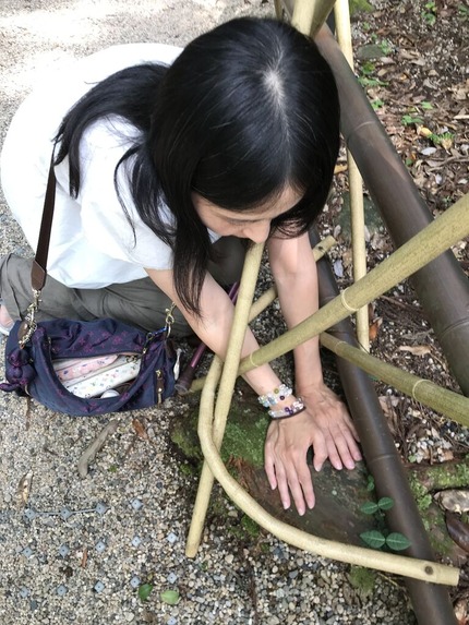 須佐神社大杉さん⑤