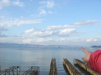 £Õ£Æ£Ï¥³¥ó¥¿¥¯¥È¥