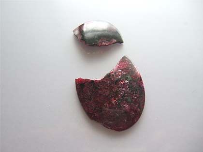 ¥³¡¼¥Ç¥£¥é¥¤¥ÈÇË»