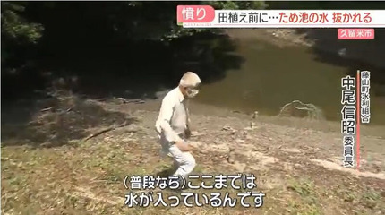 o0800044715127003634