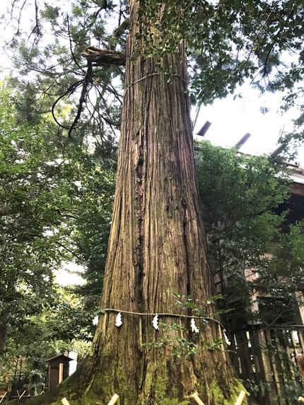 ¿Üº´¿À¼ÒÂç¿ù¤µ¤ó¢