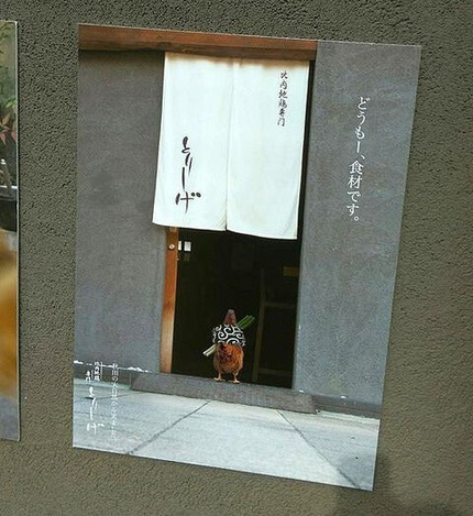 o0480052413687196478