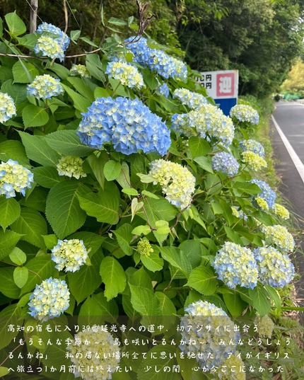 四国お遍路27日目 - 5