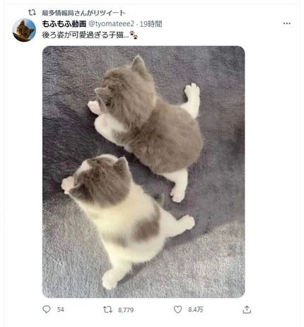 fuygikjbfchjbjkkhjJPG