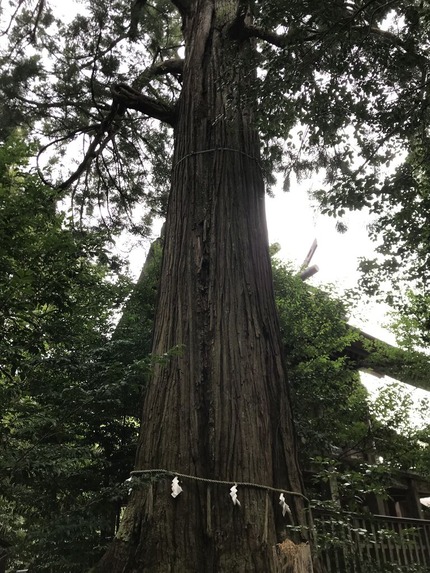 神社　最強パワー6