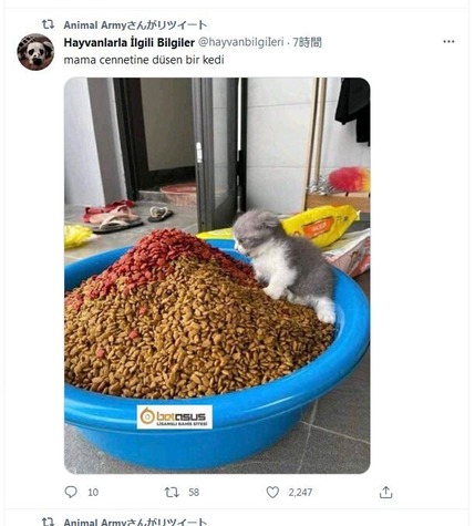 fhifvlefrhojlmbfgl;df