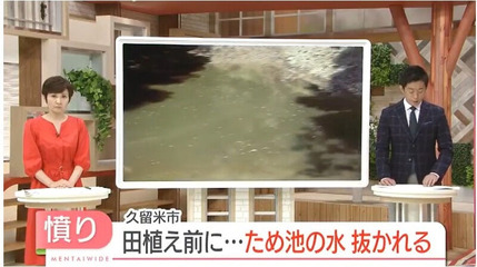 o0800044815127003632