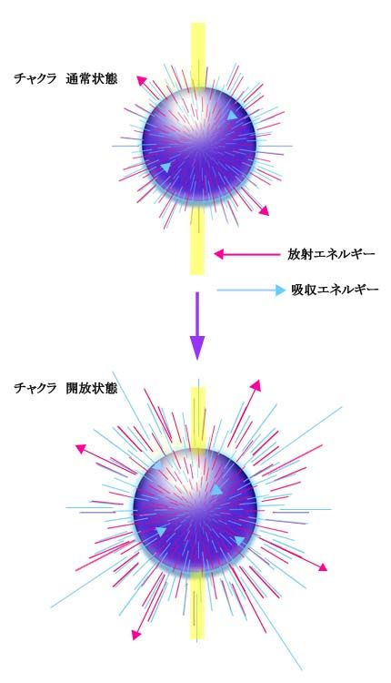 チャクラ_吸収放射パワー図